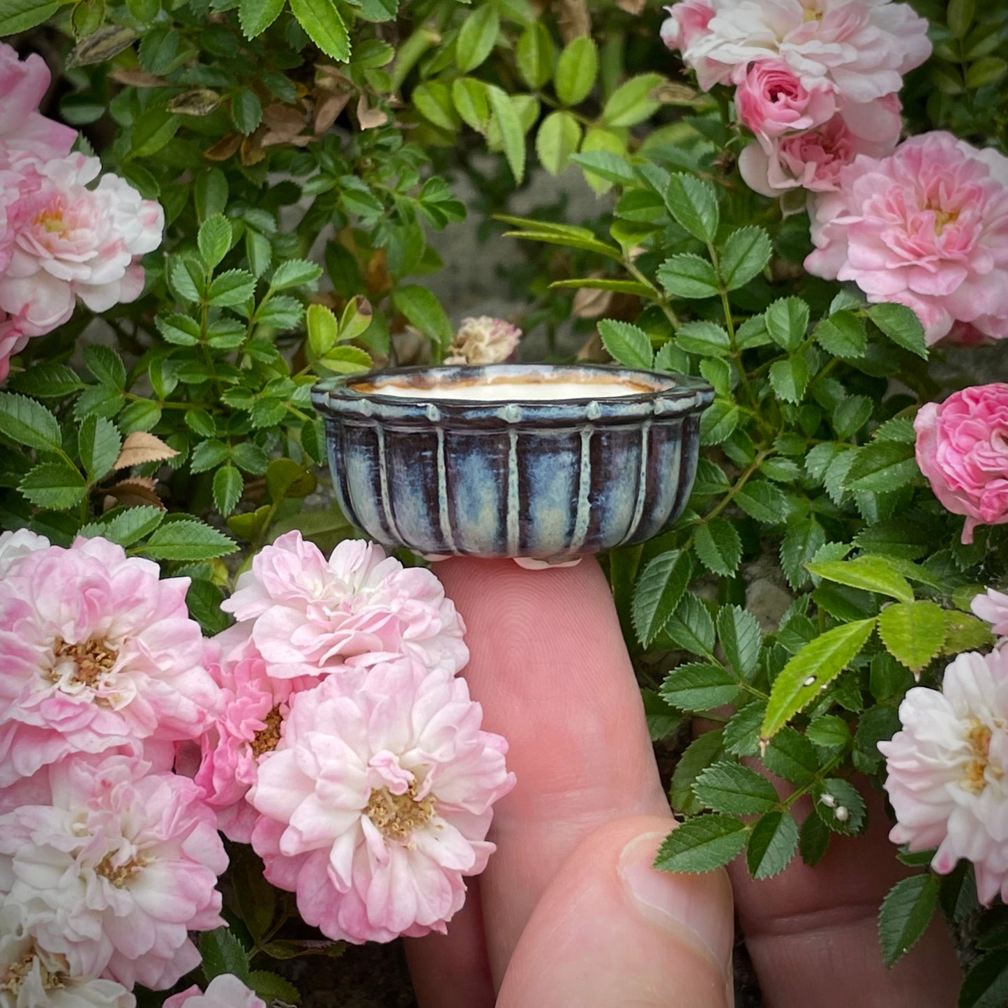 New! Tiny Round Scalloped Oval Mame Bonsai Pot in Dark Opal Lustre, About 1.5 inches long
