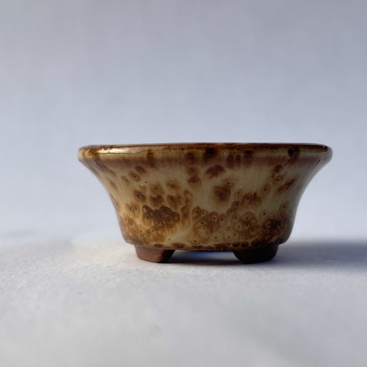 Tiny Flared Round Mame Bonsai Pot in Cocoa Leopard, About 1.25 inches wide