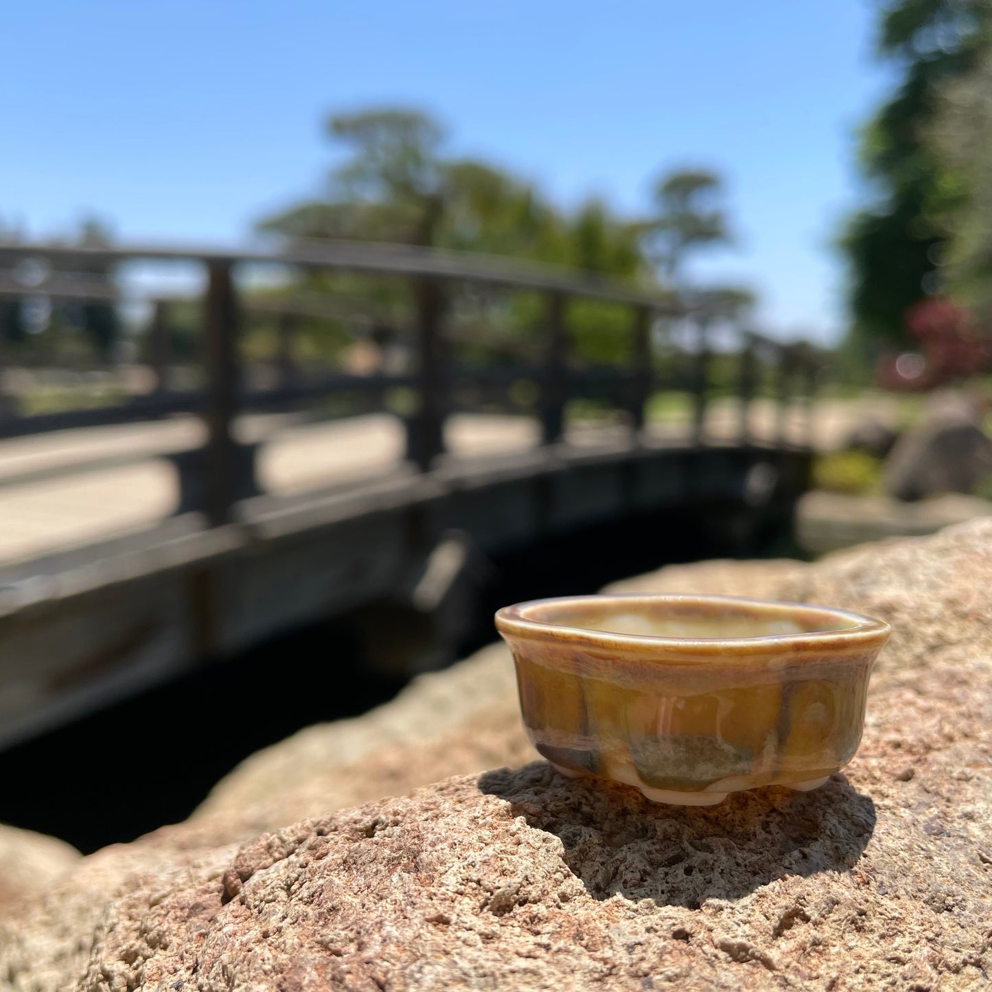 New! Tiny Rounded Oval Mame Bonsai Pot in Monet Champagne, About 1.5 inches long