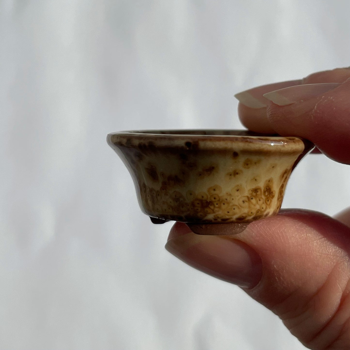 Tiny Flared Round Mame Bonsai Pot in Cocoa Leopard, About 1.25 inches wide