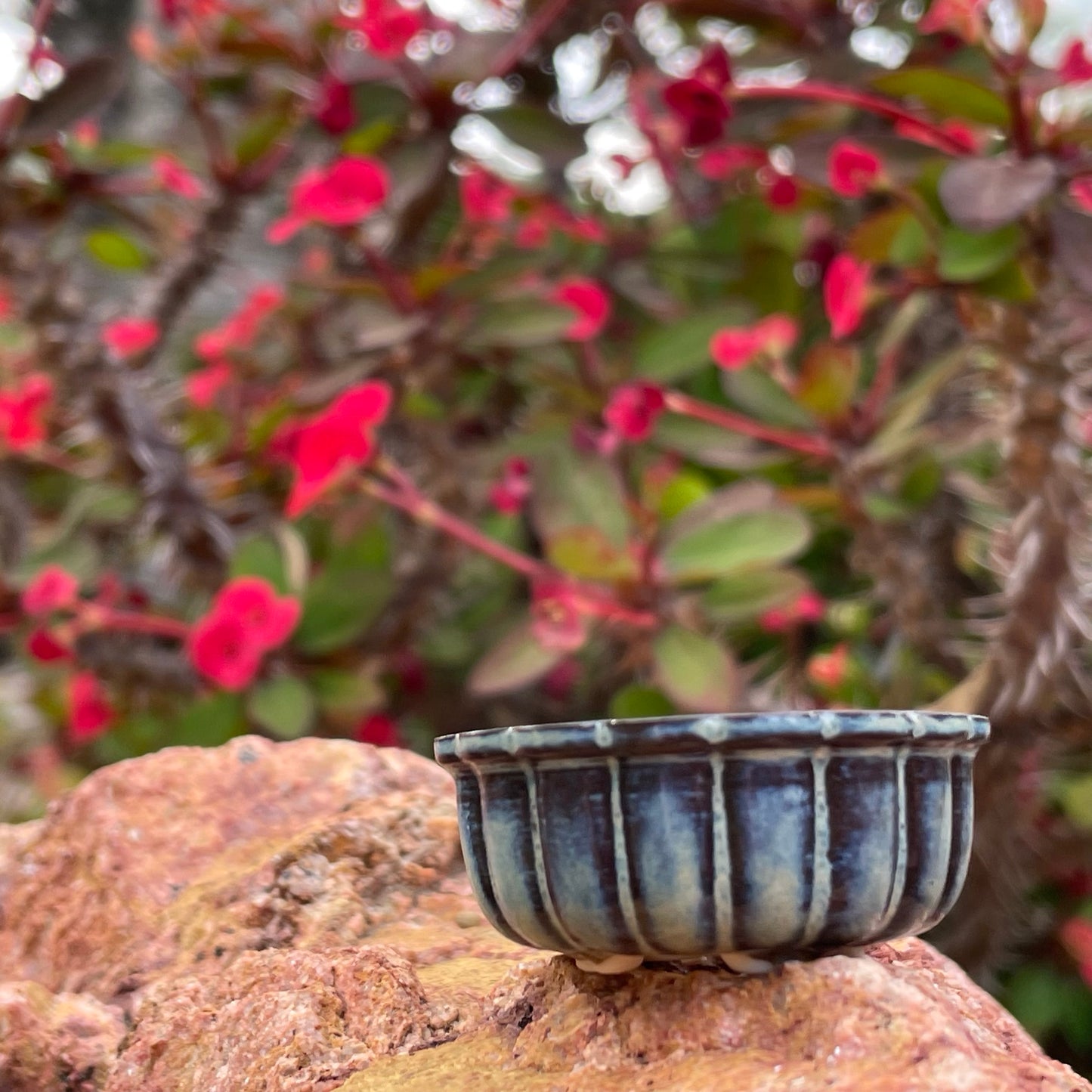 New! Tiny Round Scalloped Oval Mame Bonsai Pot in Dark Opal Lustre, About 1.5 inches long