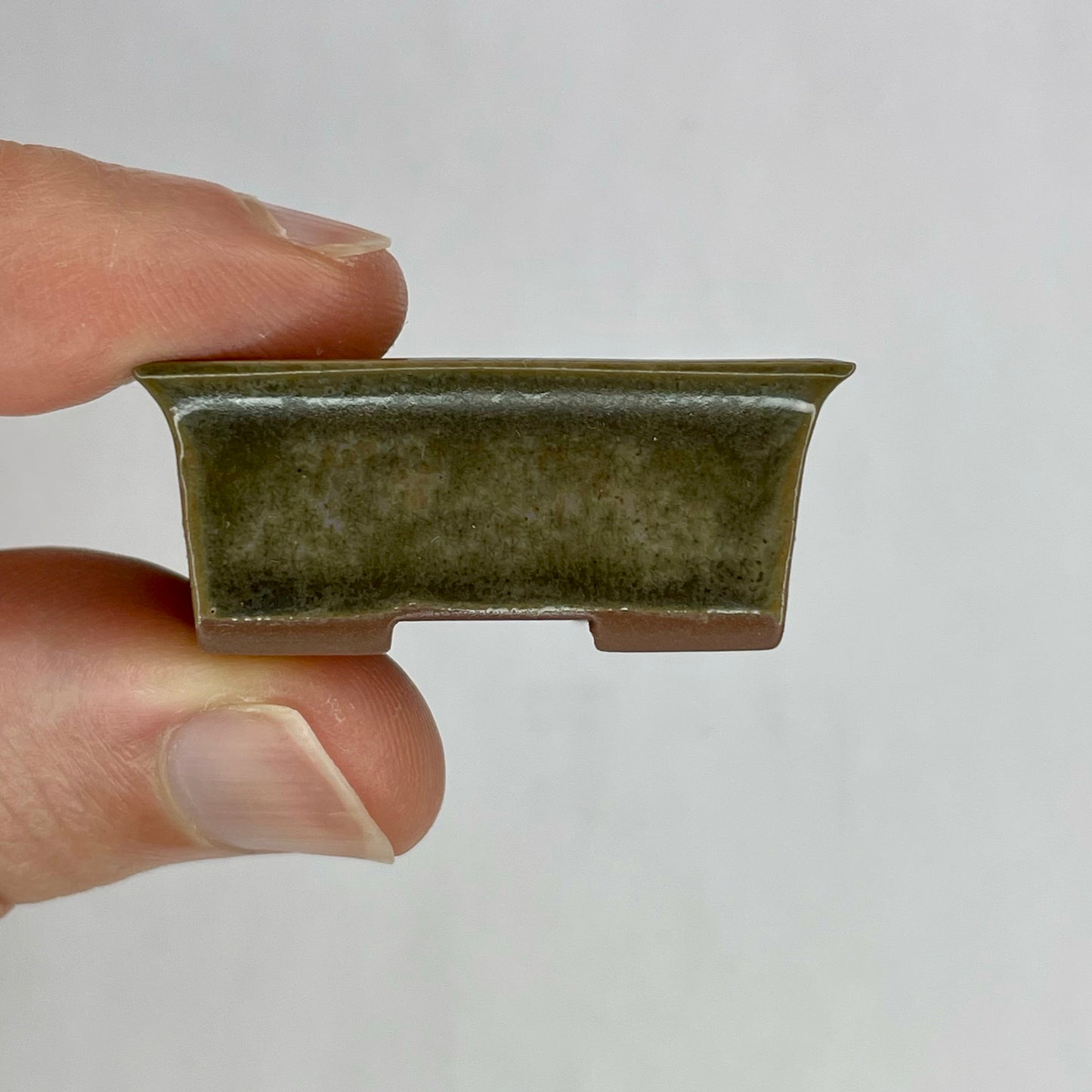 New! Tiny Rectangle Mame Bonsai Pot in Chocolate Ash, a little wider than 1.5 inches