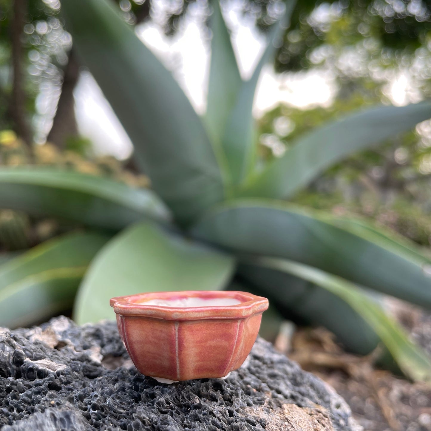 Tiny Flower-Shaped Mame Bonsai Pot in Rose Opal Lustre, Less than 1.5 inches wide