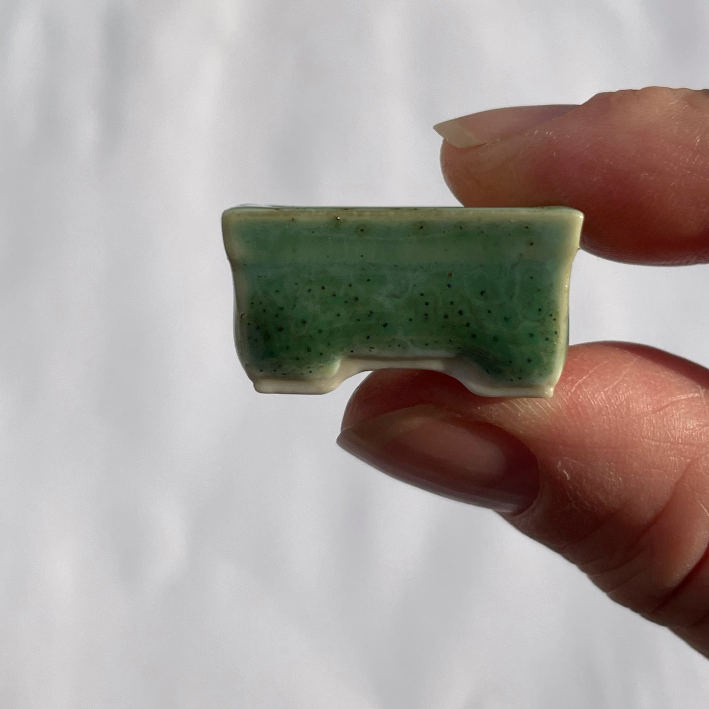 Super-Tiny Rectangle Mame Bonsai Pot in Monstera, About 1 inch long
