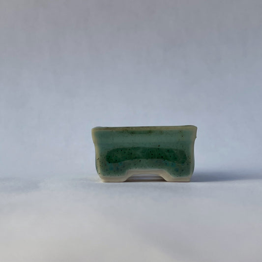 Super-Tiny Rectangle Mame Bonsai Pot in Monstera, About 1 inch long