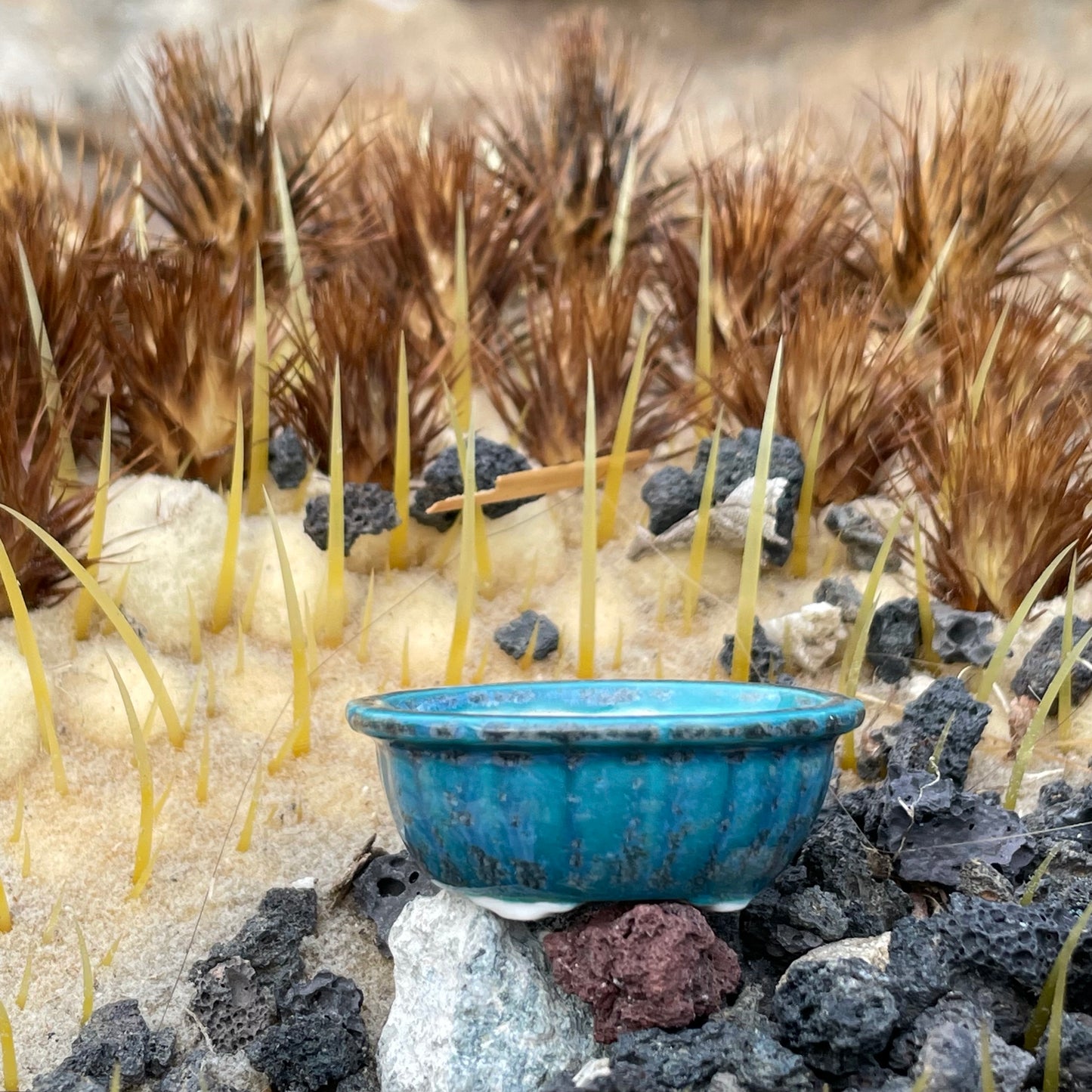 New! Tiny Scalloped Oval Mame Bonsai Pot in Turquoise Ash, About 1.5 inches long