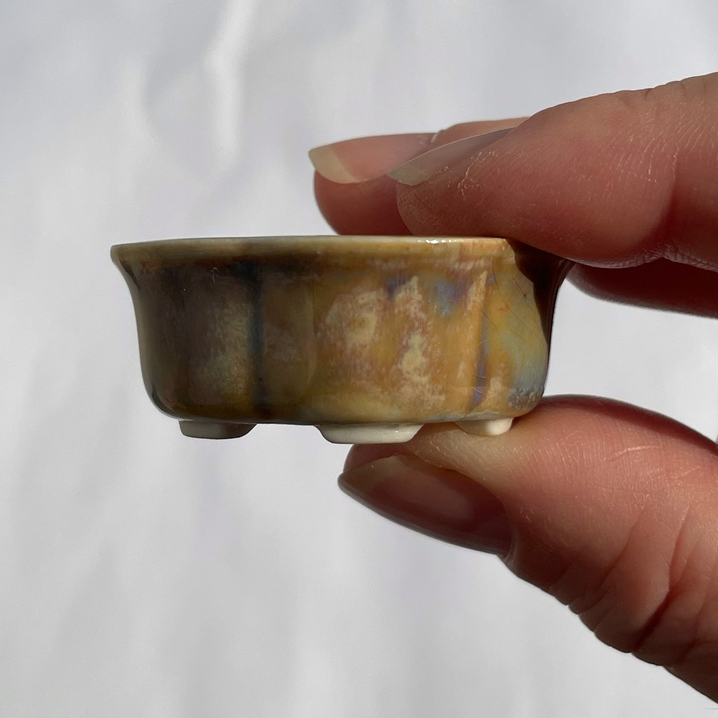 New! Tiny Rounded Oval Mame Bonsai Pot in Monet Champagne, About 1.5 inches long