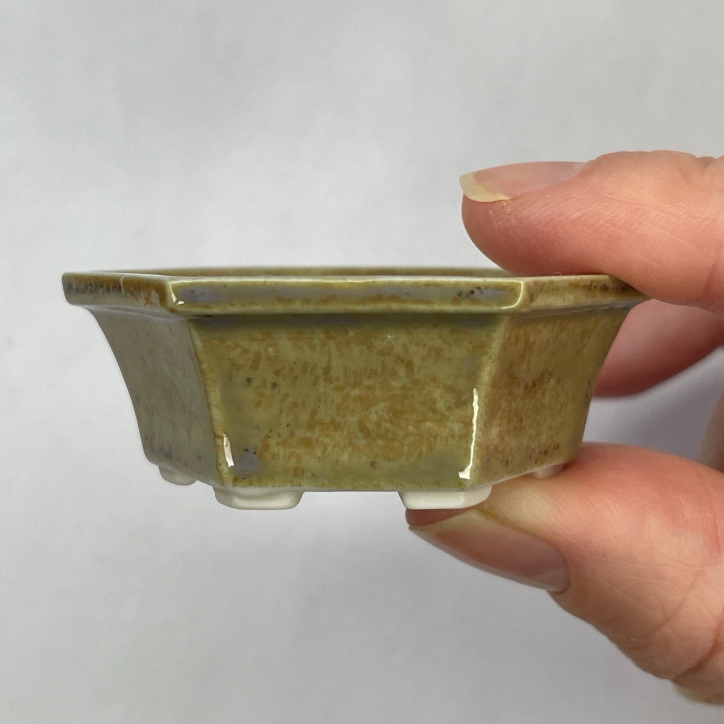 Tiny Hexagon Mame Bonsai Pot in Ash, Only 2.125 inches wide