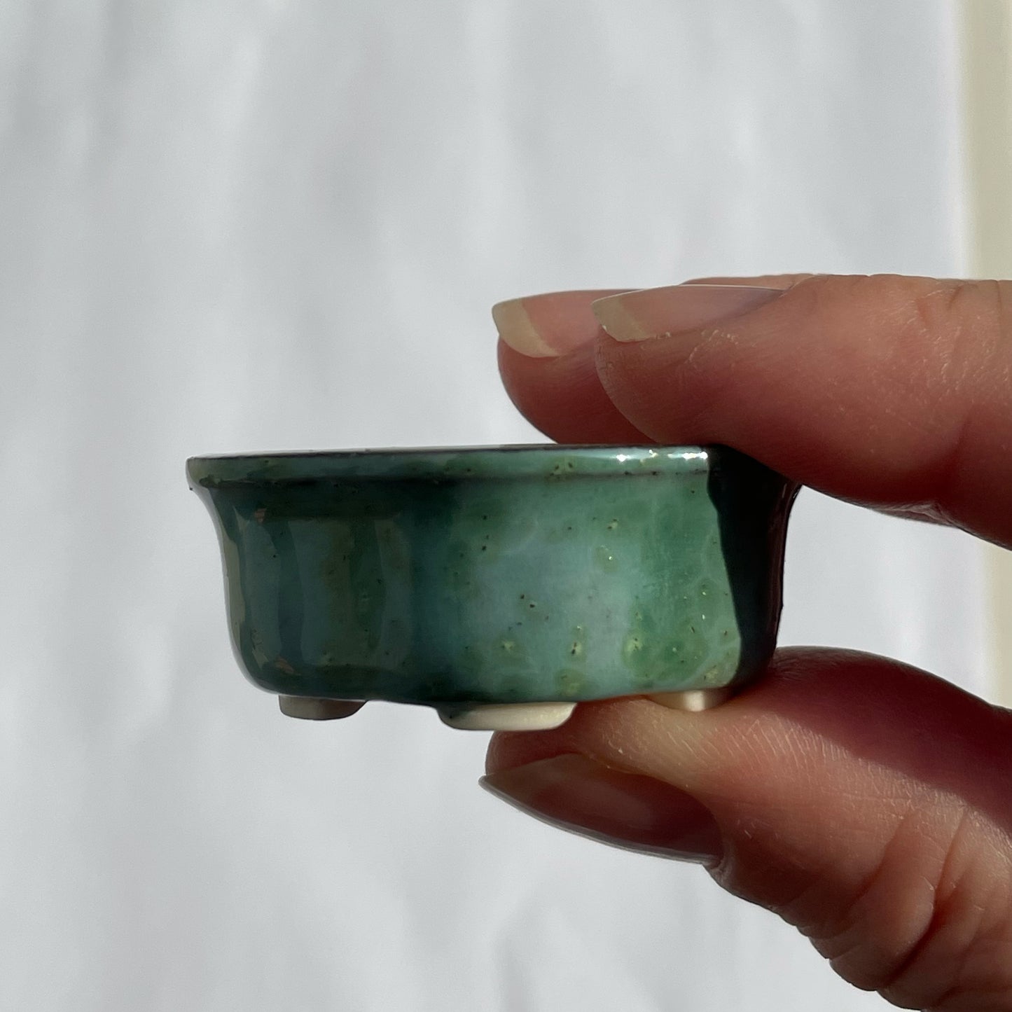 New! Tiny Rounded Oval Mame Bonsai Pot in Green Monstera, About 1.5 inches long
