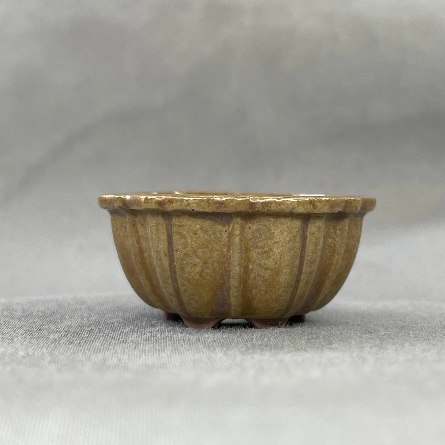 New! Tiny Flower Shaped Mame Bonsai Pot in Champagne Chocolate, About 1.5 inches wide