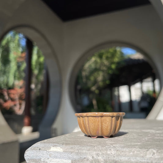 New! Tiny Flower Shaped Mame Bonsai Pot in Champagne Chocolate, About 1.5 inches wide
