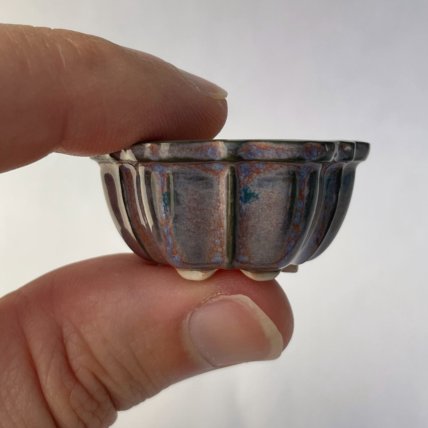 New! Tiny Flower-Shaped Mame Bonsai Pot in Lavender Aster, Only 1.5 inches wide