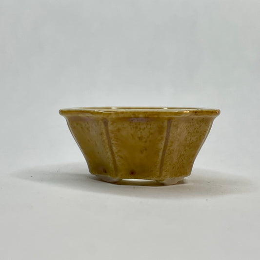 Tiny Flower-Shaped Mame Bonsai Pot in Champagne, Less than 1.5 inches wide