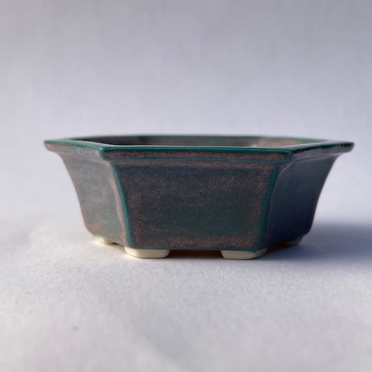 New! Tiny Hexagon Mame Bonsai Pot in Turquoise Purple Aster, Only 2.125 inches wide