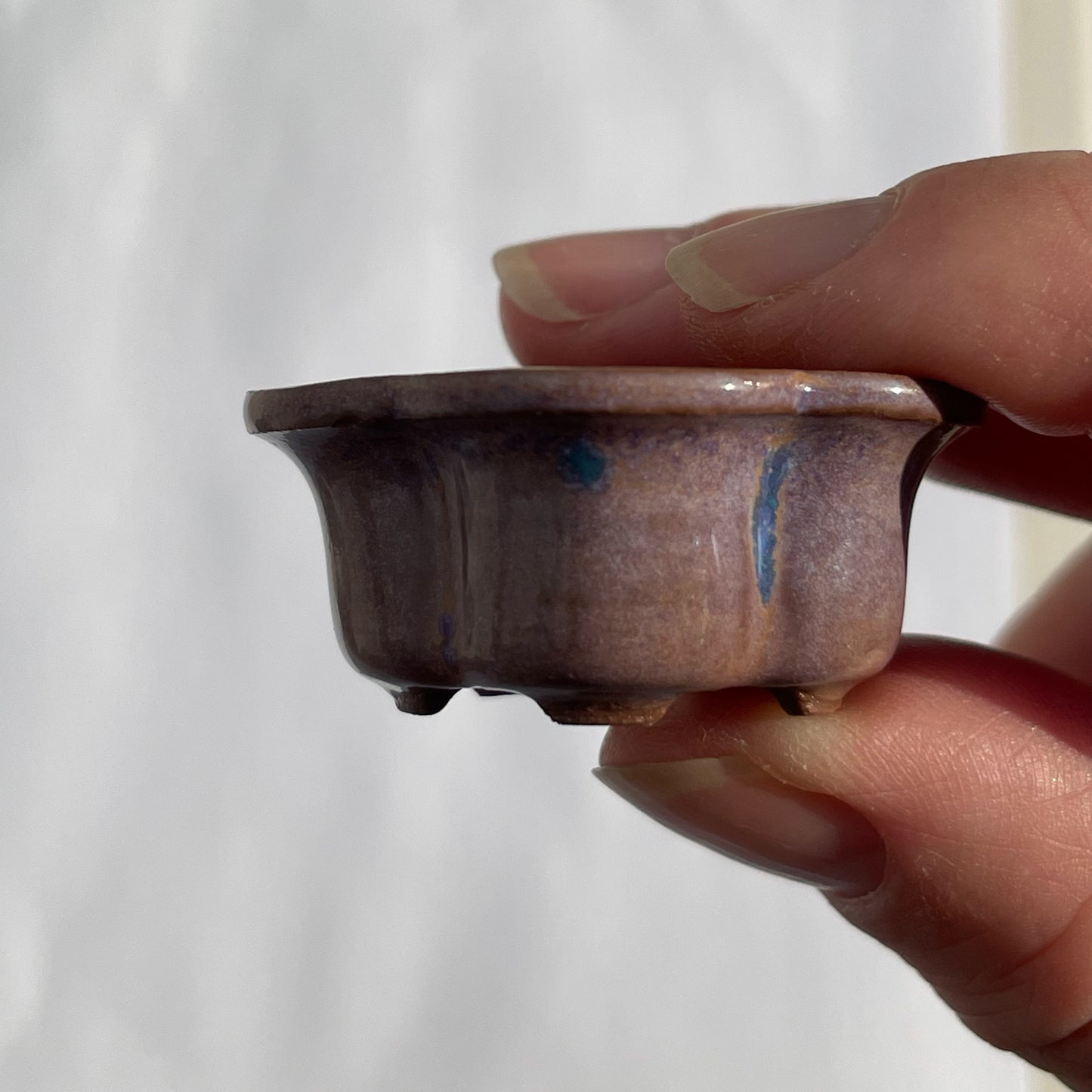 New! Tiny Flower-Shaped Mame Bonsai Pot in Chocolate Purple Aster, Less than 1.5 inches wide