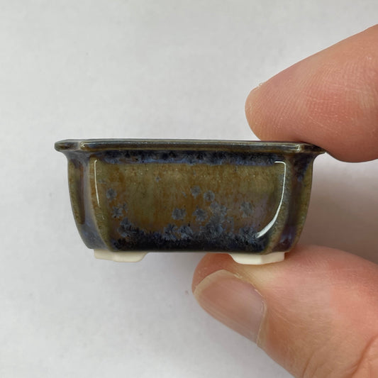 New! Tiny Rectangle Mame Bonsai Pot in Dark Crystal Champagne, About 1.5 inches wide