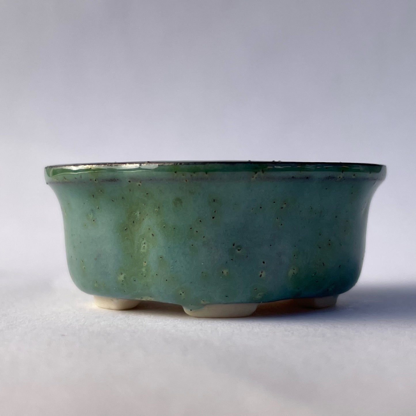 New! Tiny Rounded Oval Mame Bonsai Pot in Green Monstera, About 1.5 inches long
