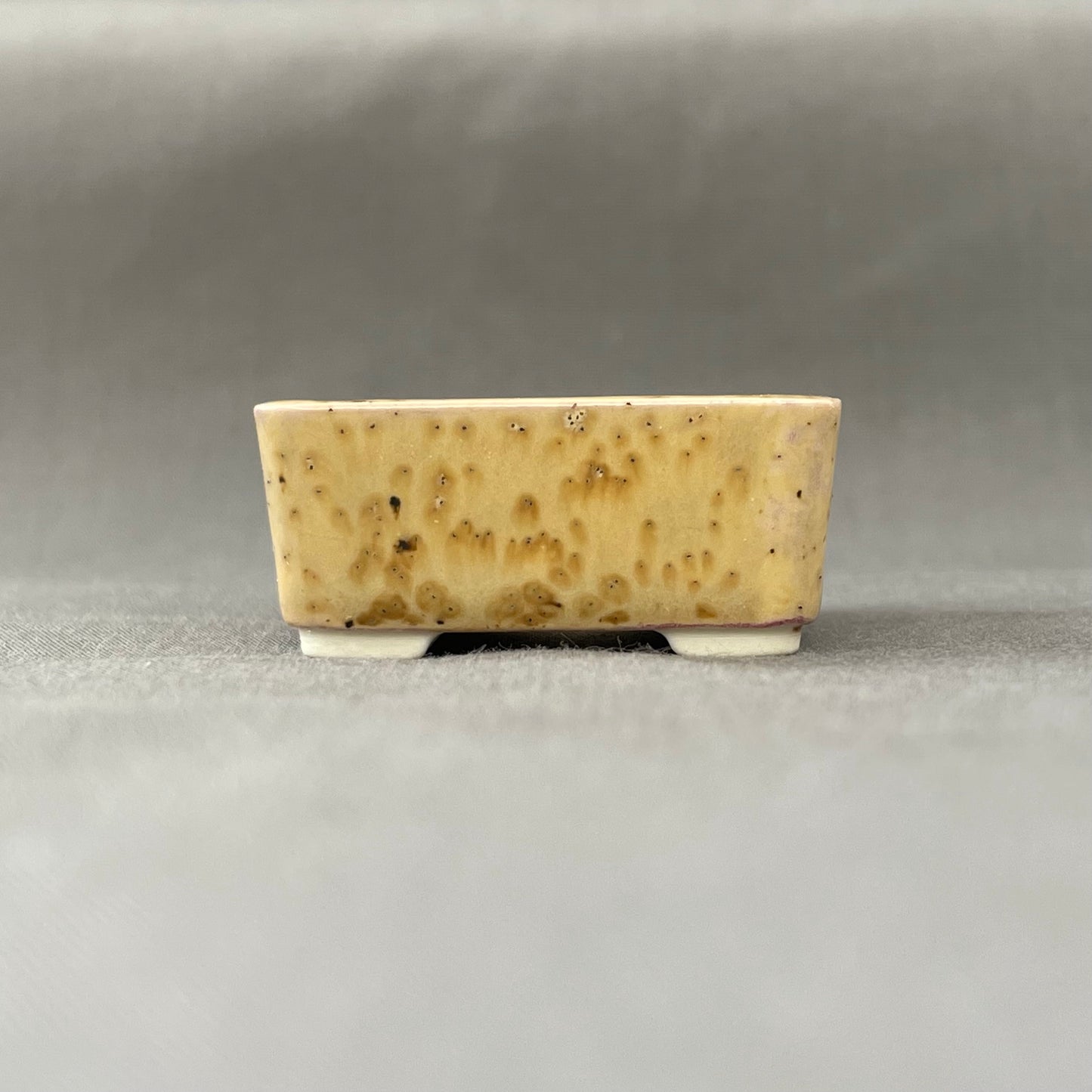 Tiny Square Mame Bonsai Pot in Cheetah, Less than 1.5 inches wide
