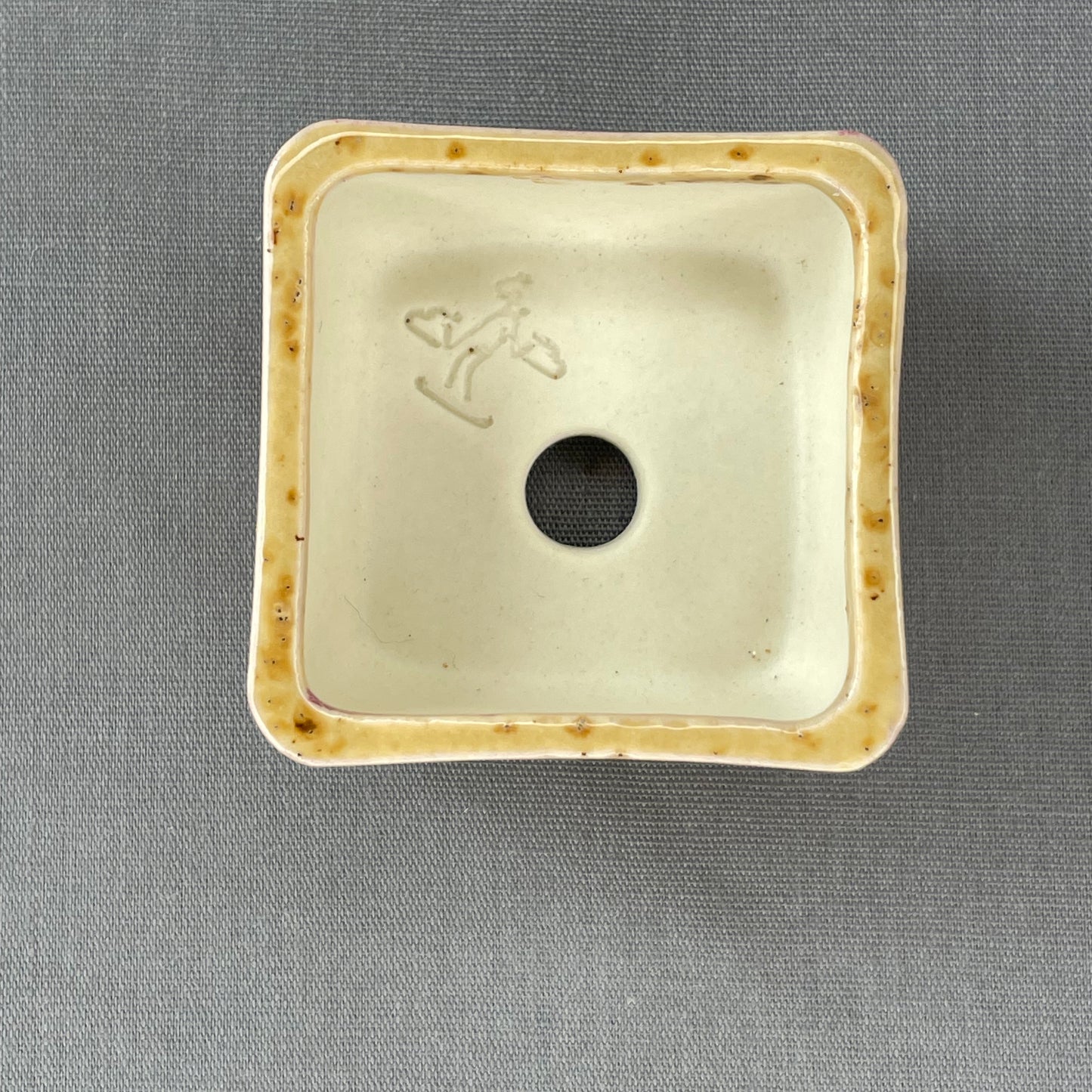 Tiny Square Mame Bonsai Pot in Cheetah, Less than 1.5 inches wide