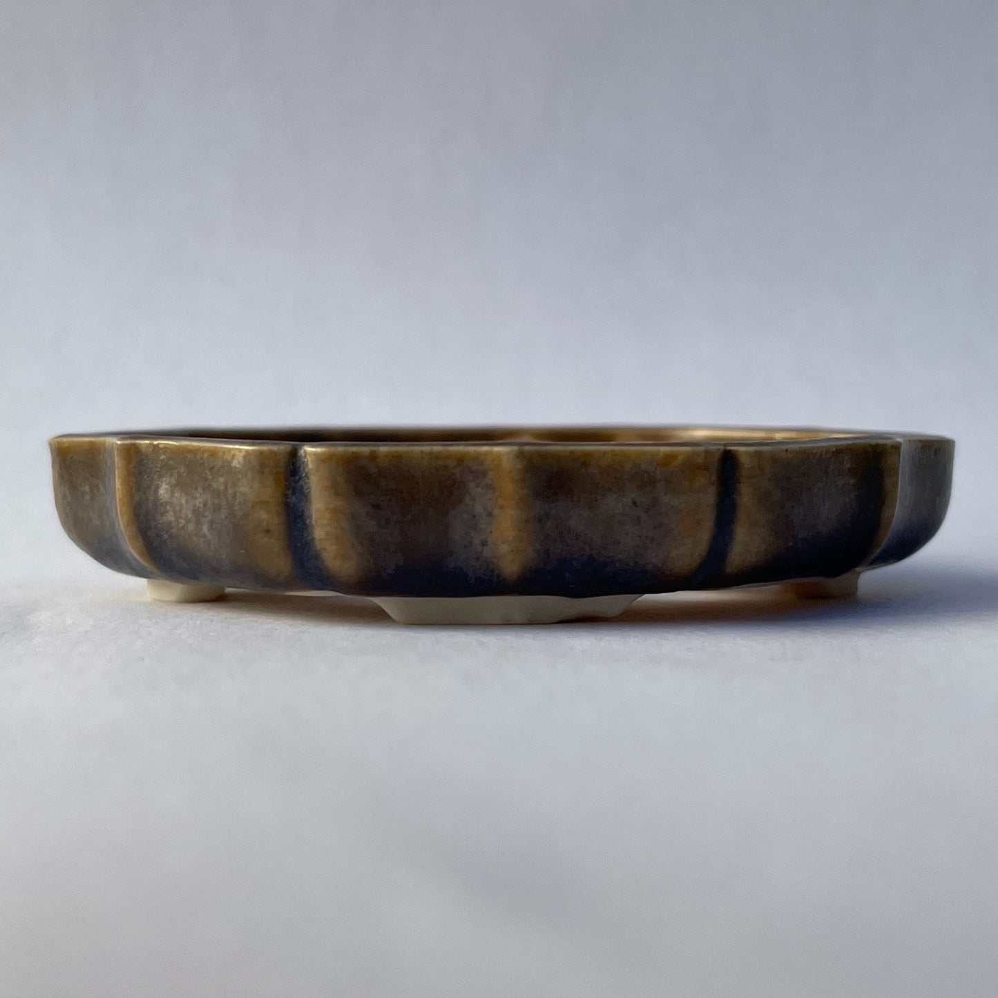 New! Tiny Shallow Decorative Mame Bonsai Pot in Micro Ash, Only 2.25 inches long