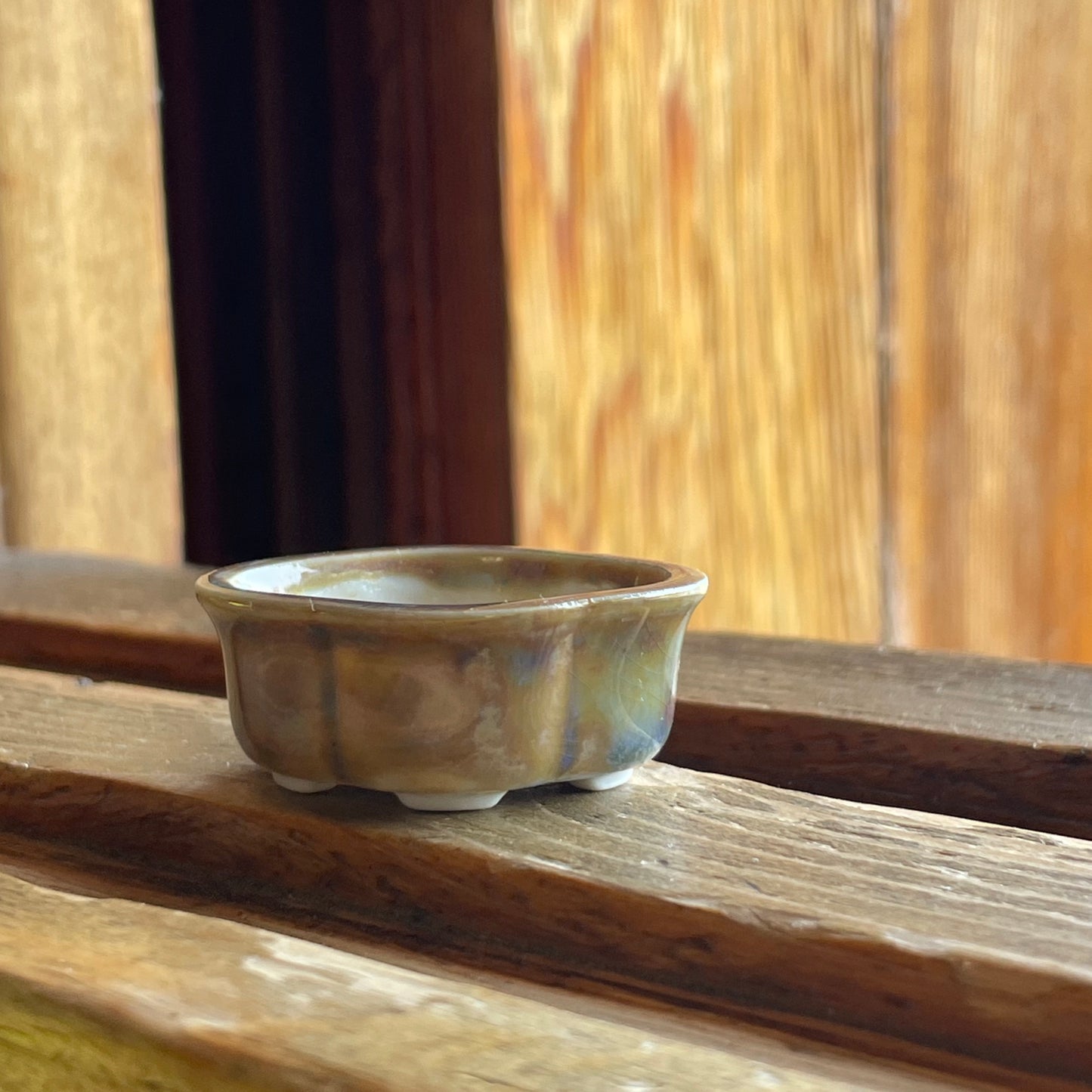 New! Tiny Rounded Oval Mame Bonsai Pot in Monet Champagne, About 1.5 inches long
