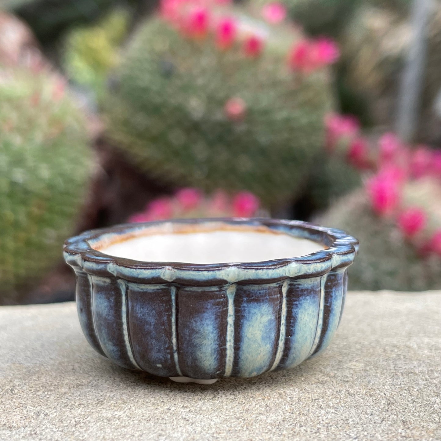 New! Tiny Round Scalloped Oval Mame Bonsai Pot in Dark Opal Lustre, About 1.5 inches long