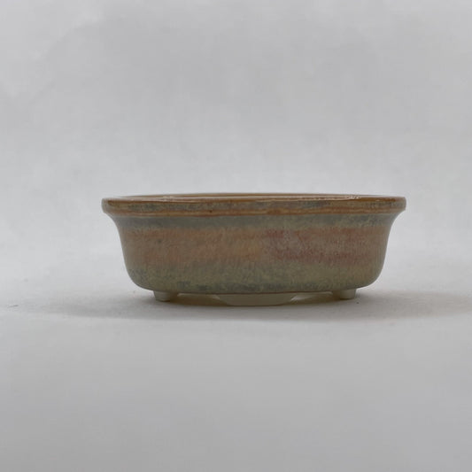 New! Tiny Oval Mame Bonsai Pot in Opal Cream, Only 1.5 inches
