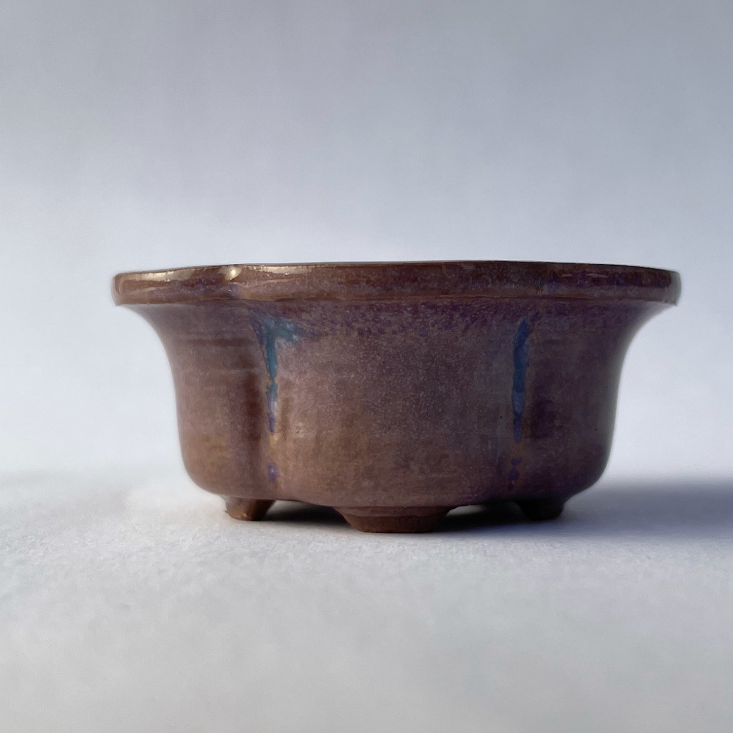 New! Tiny Flower-Shaped Mame Bonsai Pot in Chocolate Purple Aster, Less than 1.5 inches wide
