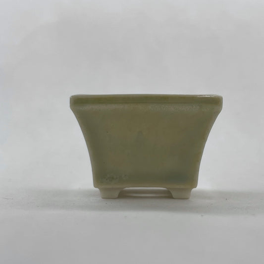 New! Tiny Square Mame Bonsai Pot in Bamboo Green, About 1 inch wide