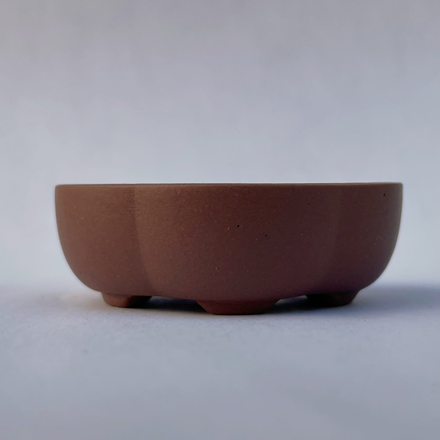 Tiny Rounded Oval Mame Bonsai Pot in Chocolate Porcelain, About 1.75 inches long