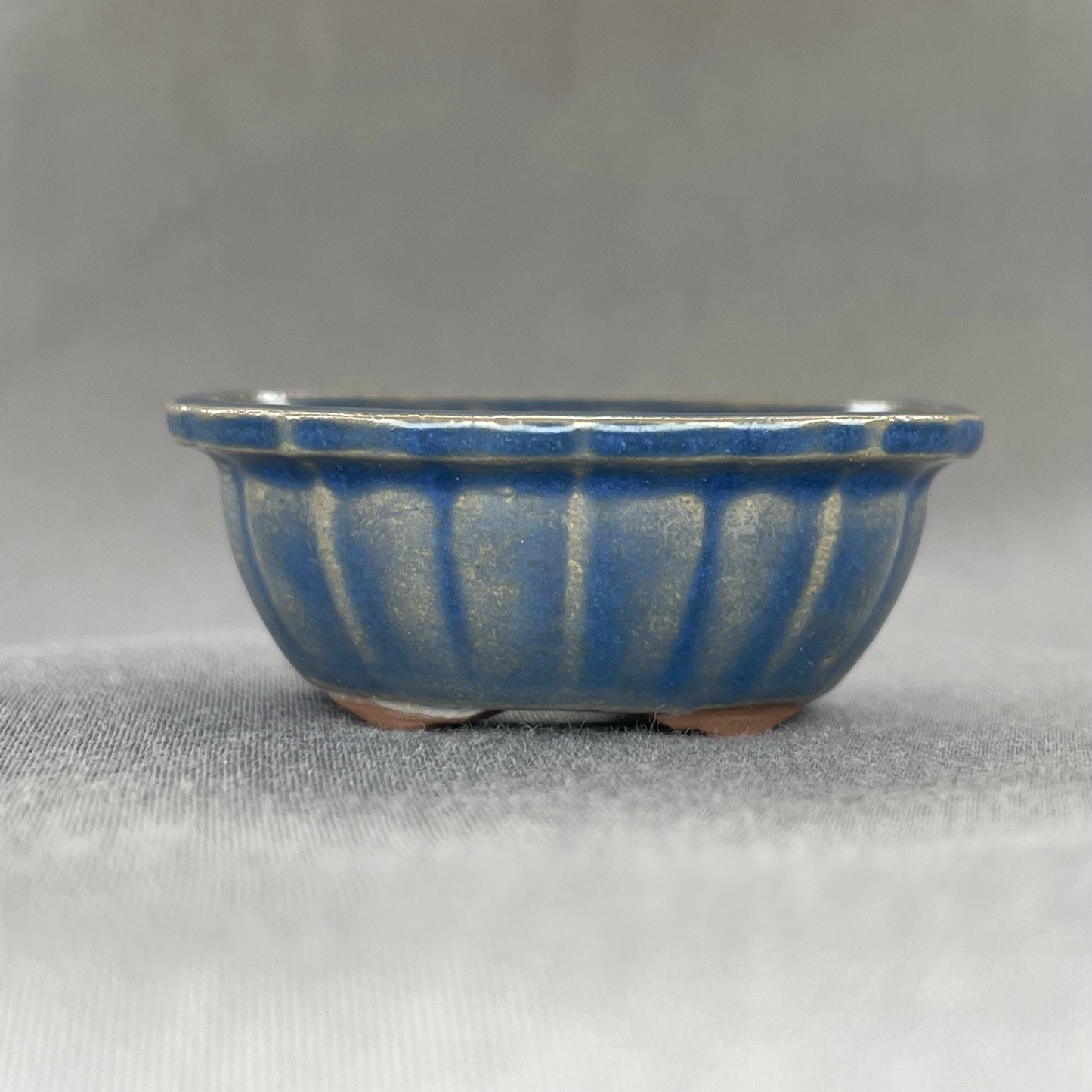 New! Tiny Scalloped Oval Mame Bonsai Pot in Denim Chocolate, Only 1.5 inches long