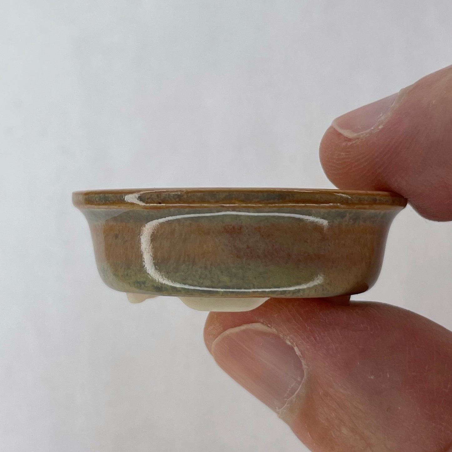 New! Tiny Oval Mame Bonsai Pot in Opal Cream, Only 1.5 inches