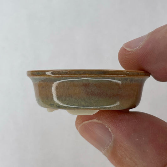 New! Tiny Oval Mame Bonsai Pot in Opal Cream, Only 1.5 inches