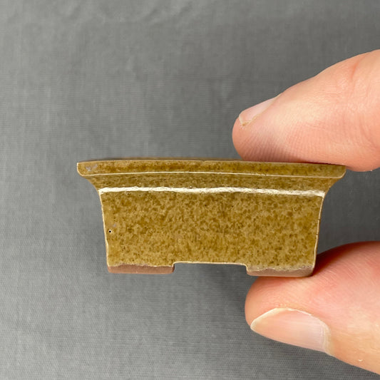 New! Tiny Flared Rectangle Mame Bonsai Pot in Micro Champagne, Less than 1.5 inches wide