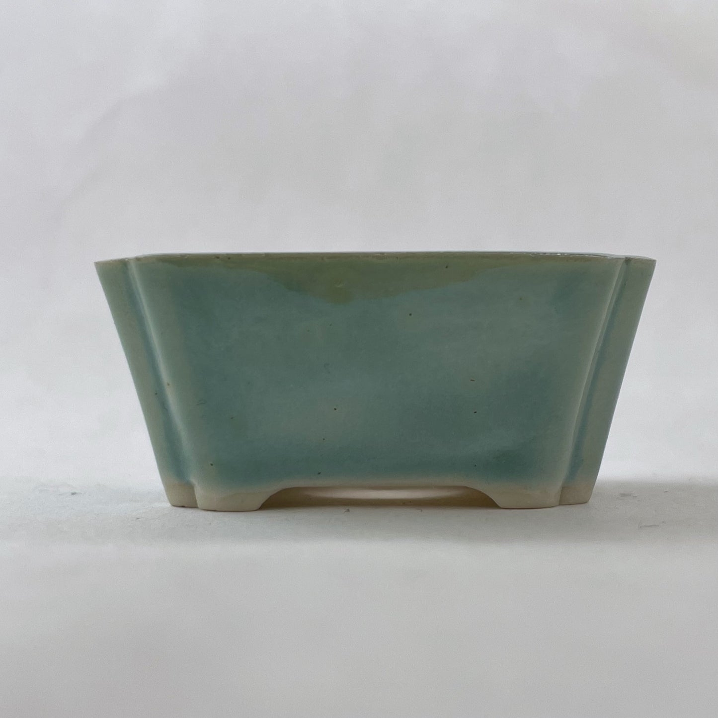 New! Tiny Rectangle Mame Bonsai Pot in Light Monstera, About 1.5 inches wide