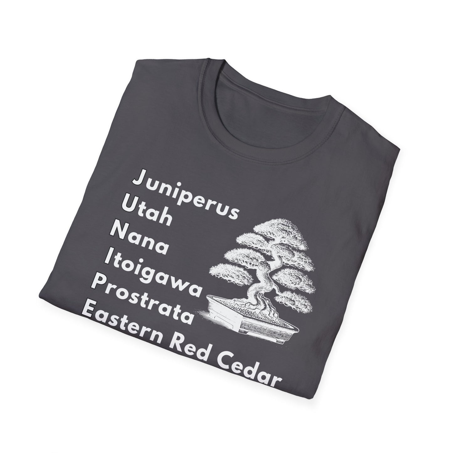 Tshirt: Juniper Bonsai Tree Varieties Tee, Juniperus Tree Types Softstyle T-Shirt, Bonsai Enthusiast Gift for Him, Bonsai Word Art Top, Itoigawa Tee