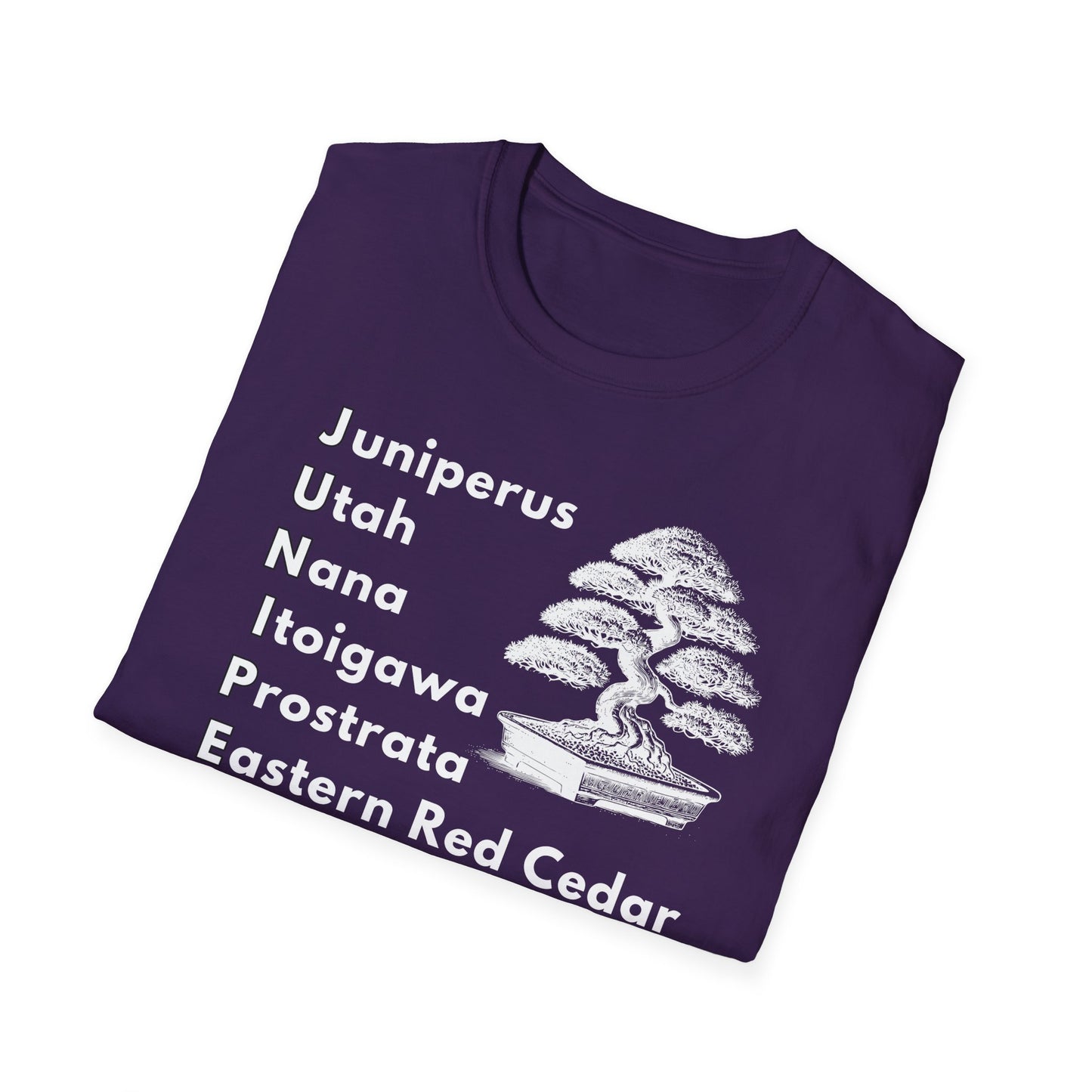 Tshirt: Juniper Bonsai Tree Varieties Tee, Juniperus Tree Types Softstyle T-Shirt, Bonsai Enthusiast Gift for Him, Bonsai Word Art Top, Itoigawa Tee