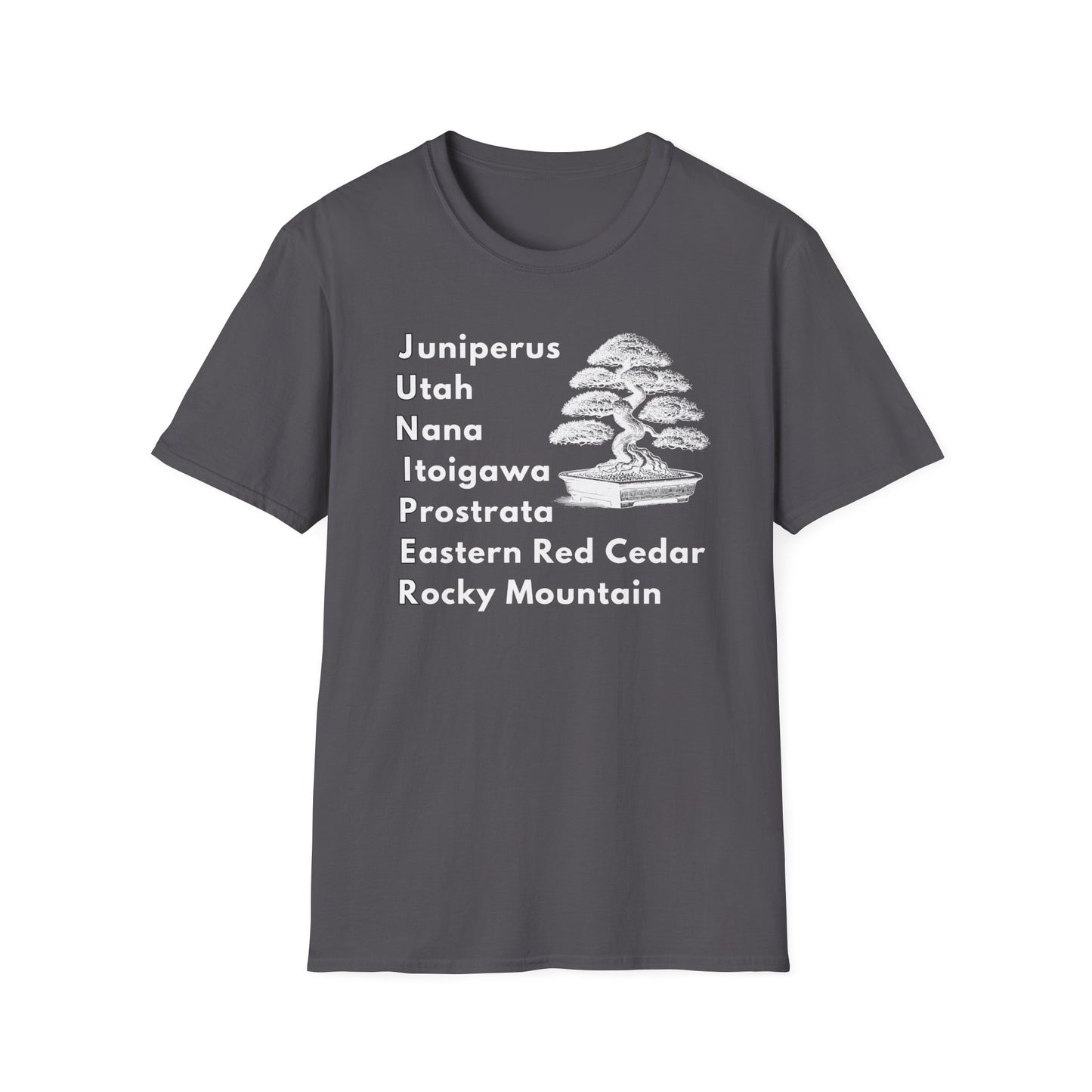 Tshirt: Juniper Bonsai Tree Varieties Tee, Juniperus Tree Types Softstyle T-Shirt, Bonsai Enthusiast Gift for Him, Bonsai Word Art Top, Itoigawa Tee