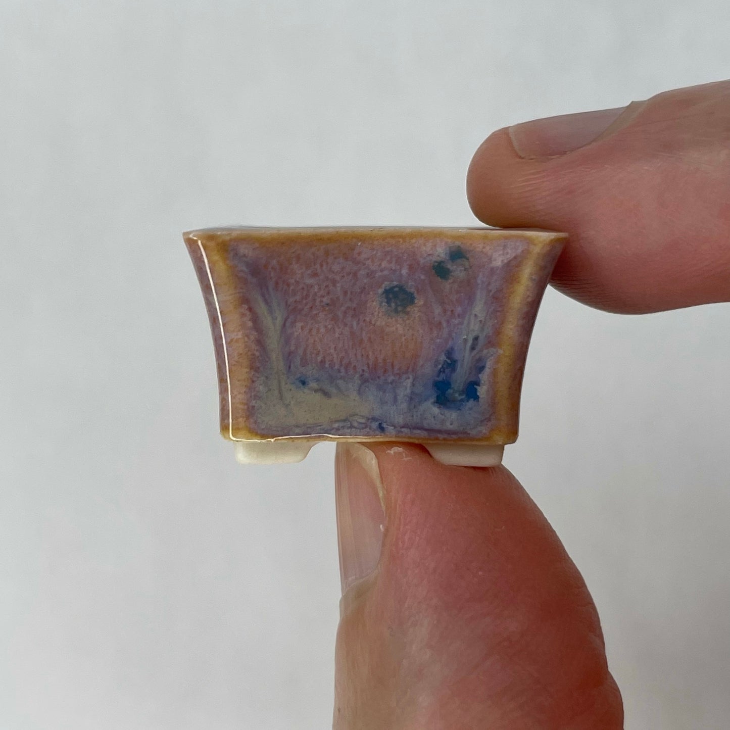 Super-Tiny Rectangle Mame Bonsai Pot in Purple Aster, About 1 inch long