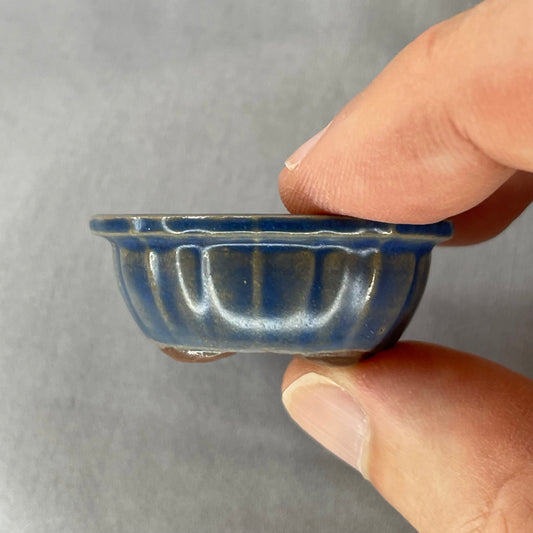 New! Tiny Scalloped Oval Mame Bonsai Pot in Denim Chocolate, Only 1.5 inches long
