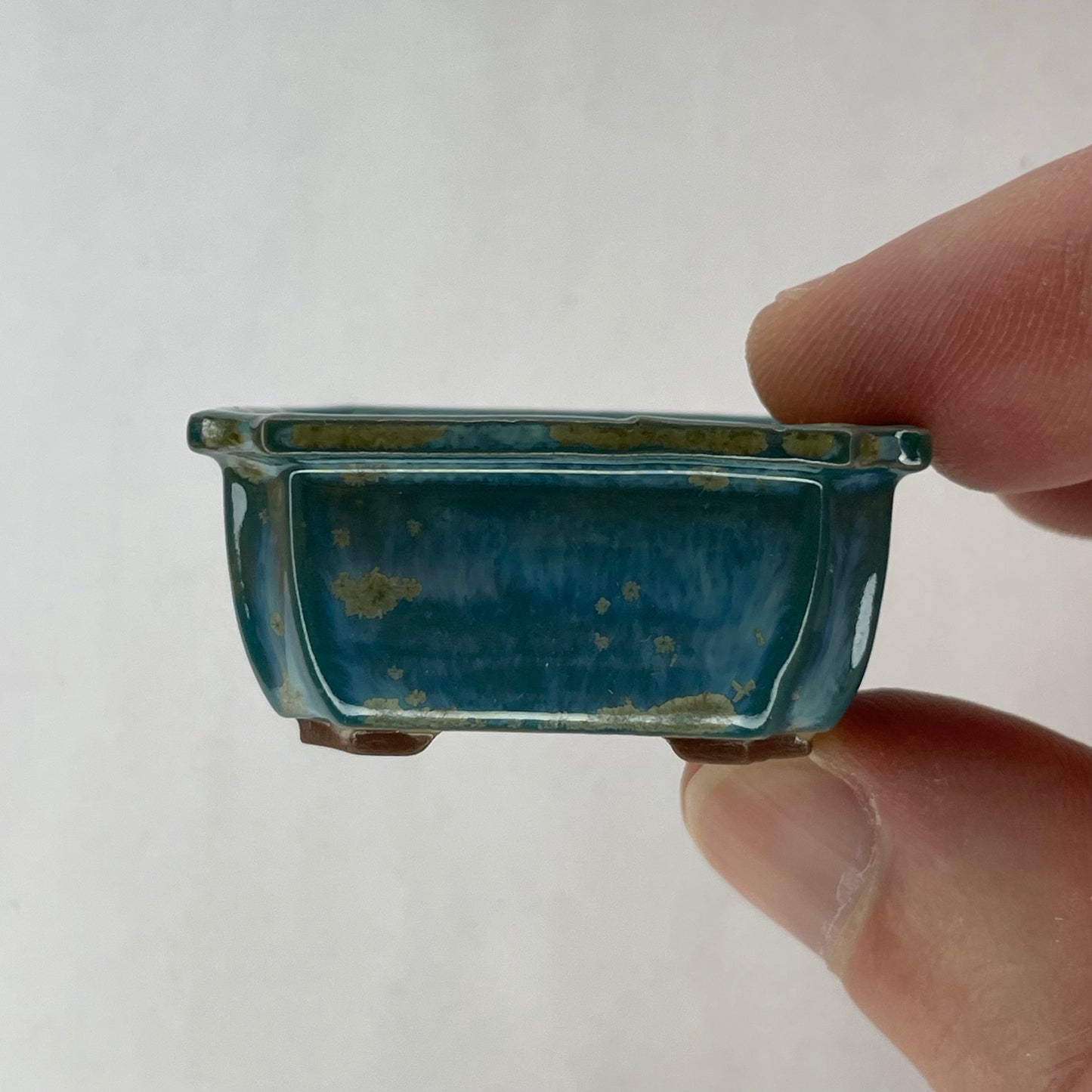 Tiny Scalloped Rectangle Mame Bonsai Pot in Turquoise Jade Chocolate, Only 1.5 inches long
