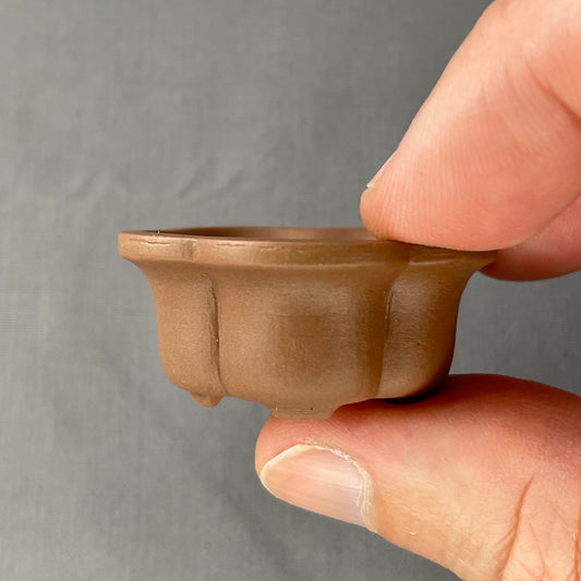 New! Tiny Flower-Shaped Mame Bonsai Pot in Chocolate Porcelain, About 1.5 inches wide