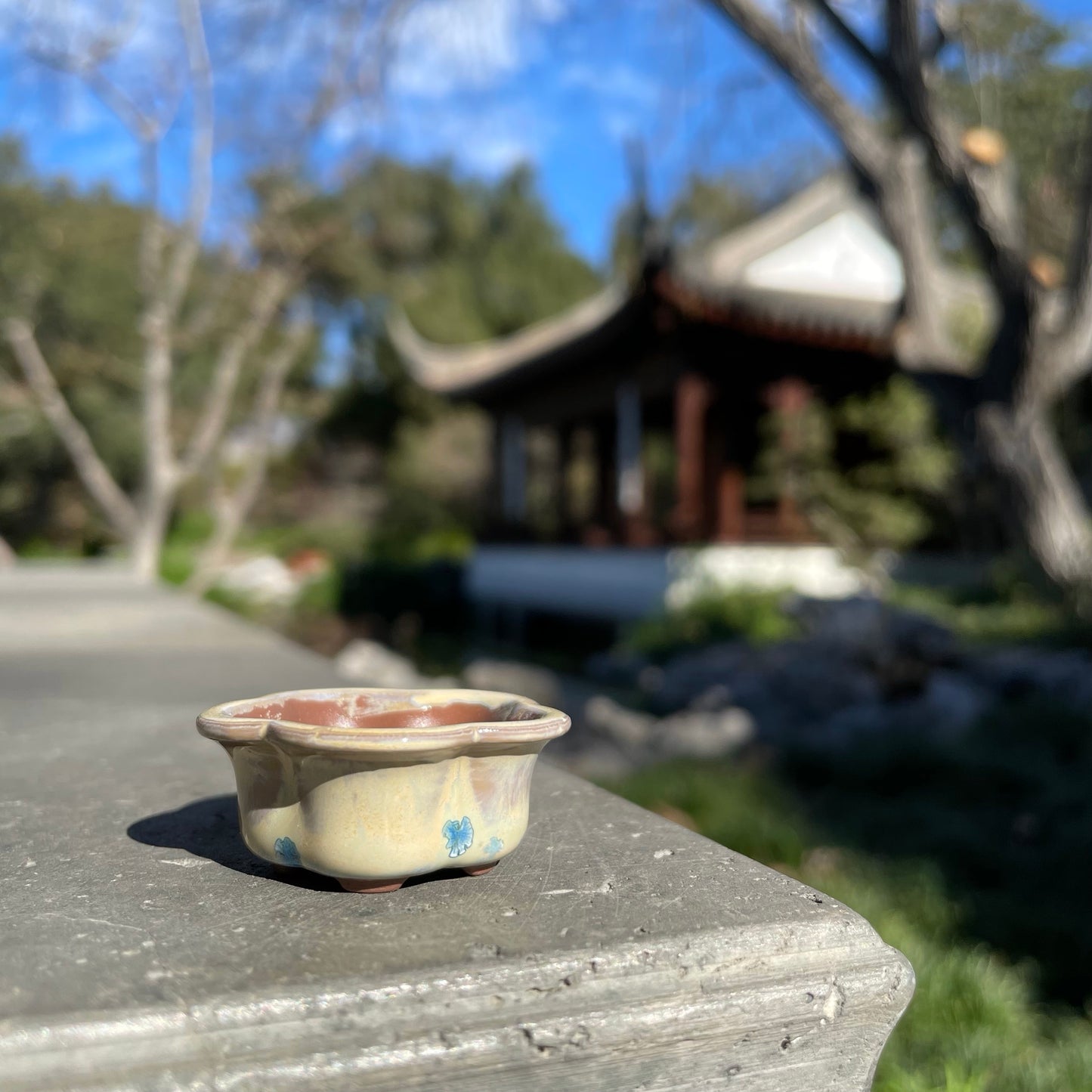 New! Tiny Flower-Shaped Mame Bonsai Pot in Chocolate Blue Snowflake, Less than 1.5 inches wide