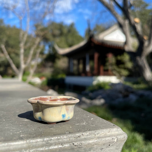 New! Tiny Flower-Shaped Mame Bonsai Pot in Chocolate Blue Snowflake, Less than 1.5 inches wide