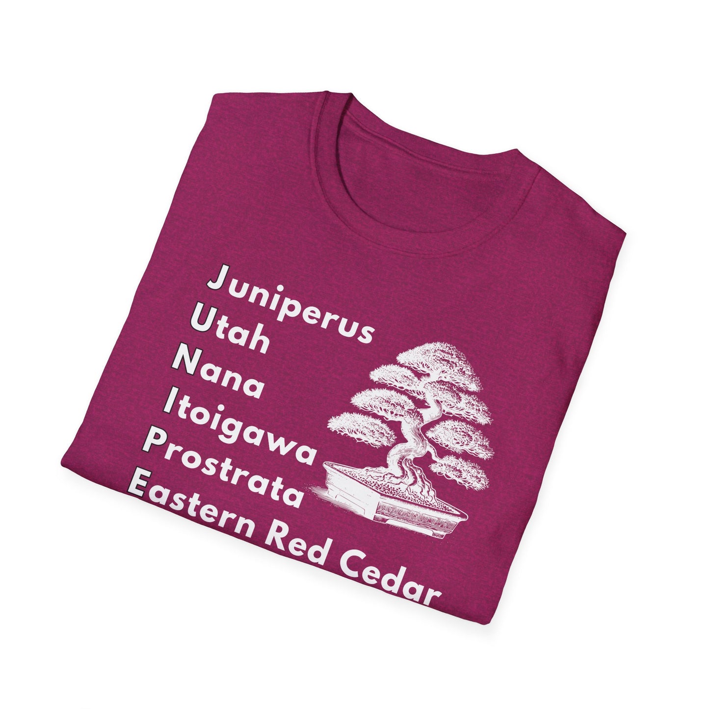 Tshirt: Juniper Bonsai Tree Varieties Tee, Juniperus Tree Types Softstyle T-Shirt, Bonsai Enthusiast Gift for Him, Bonsai Word Art Top, Itoigawa Tee