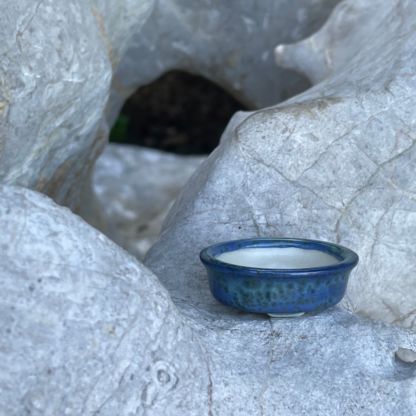 New! Tiny Oval Mame Bonsai Pot in Blue Monstera, Only 1.5 inches