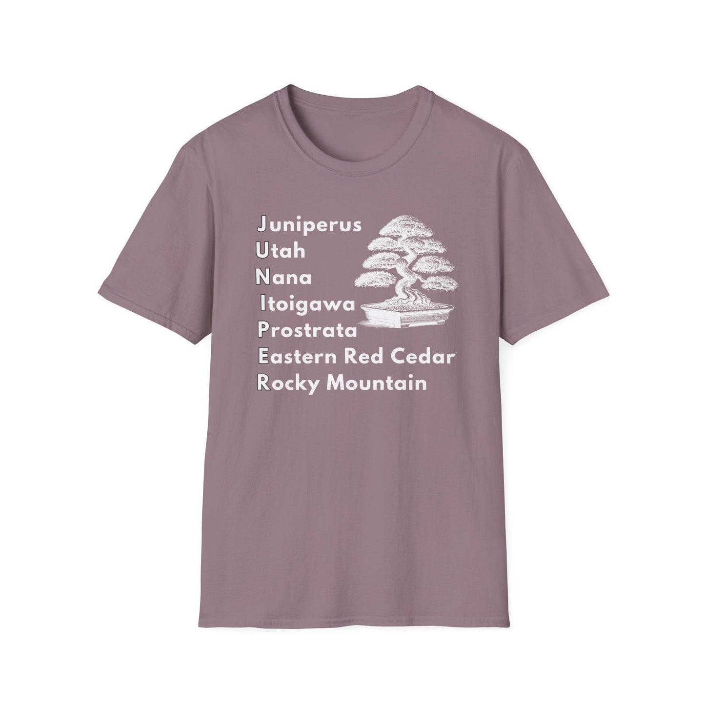 Tshirt: Juniper Bonsai Tree Varieties Tee, Juniperus Tree Types Softstyle T-Shirt, Bonsai Enthusiast Gift for Him, Bonsai Word Art Top, Itoigawa Tee