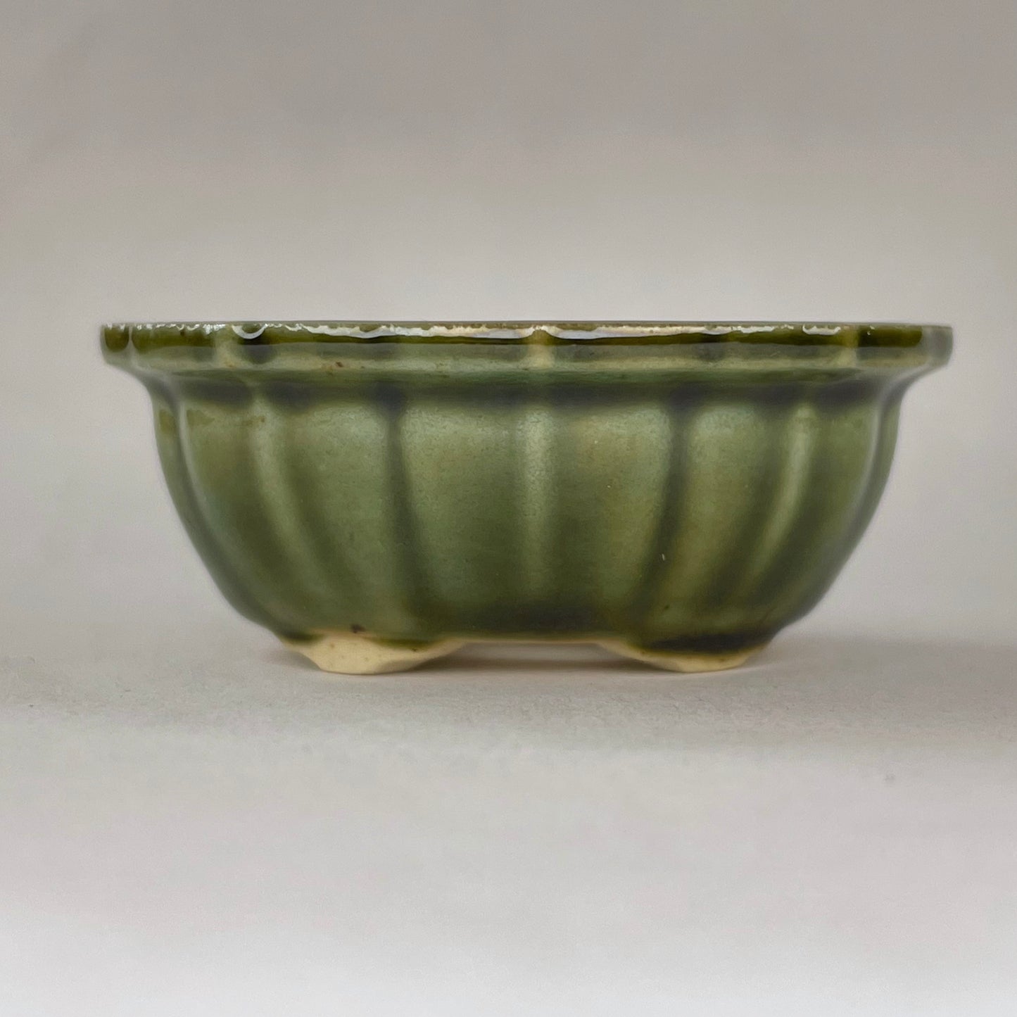 New! Tiny Scalloped Oval Mame Bonsai Pot in Pine Green, About 1.5 inches wide