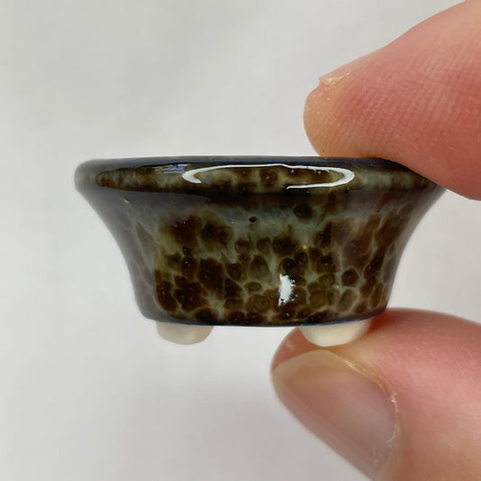 New! Tiny Flared Round Mame Bonsai Pot in Blue Leopard, About 1.25 inches wide