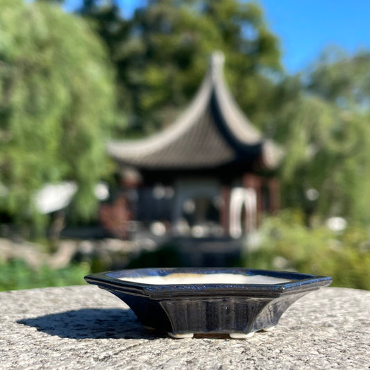 New! Tiny Shallow Hexagon Mame Bonsai Pot in Galaxy Blue, Less than 2.5 inches wide